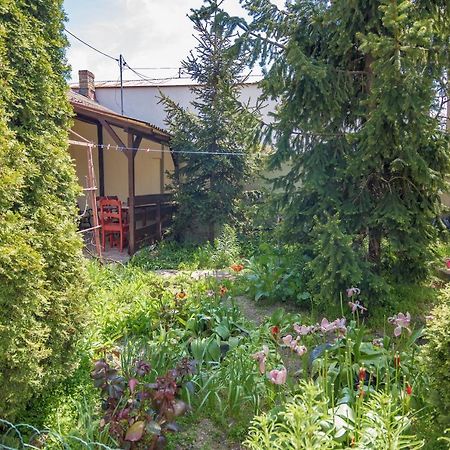Апартаменти Old House Вама-Веке Екстер'єр фото