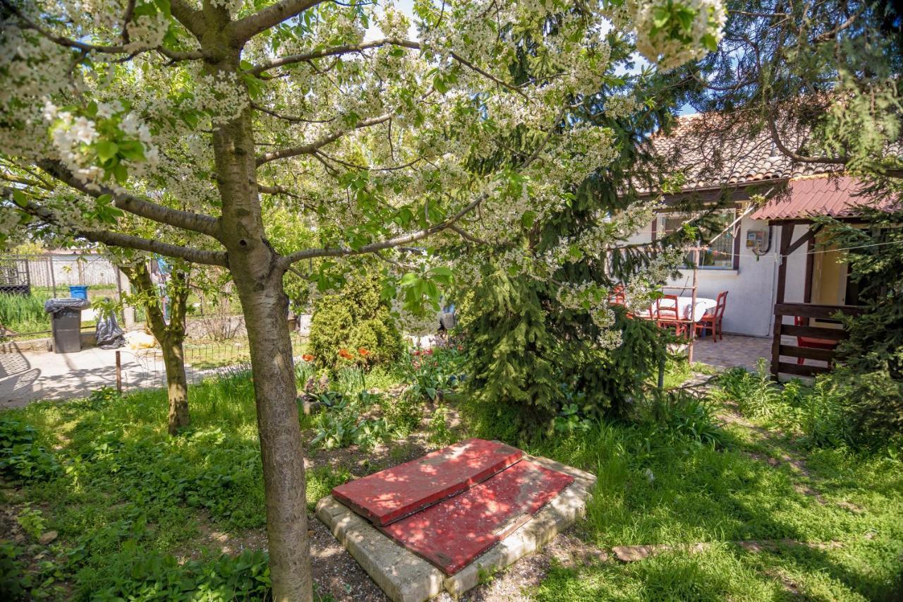 Апартаменти Old House Вама-Веке Екстер'єр фото